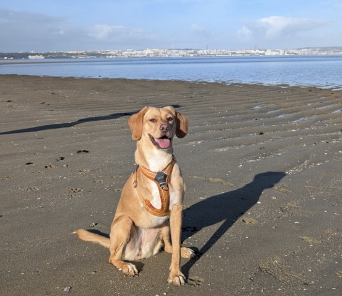 >
    </div>

    <p>Drop by — we're excited to meet you.</p>

  </div>

</section>

</main>

<footer class=